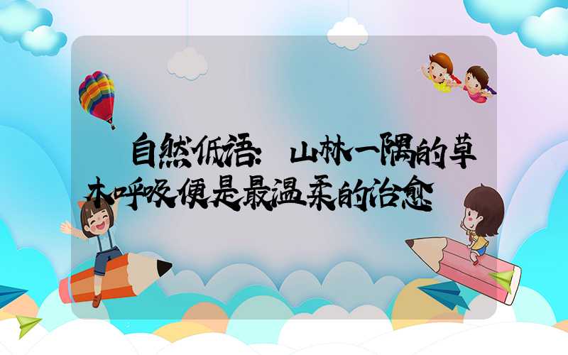 自然低语:山林一隅的草木呼吸便是最温柔的治愈